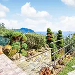 Amazing In * 皮耶韦利古雷